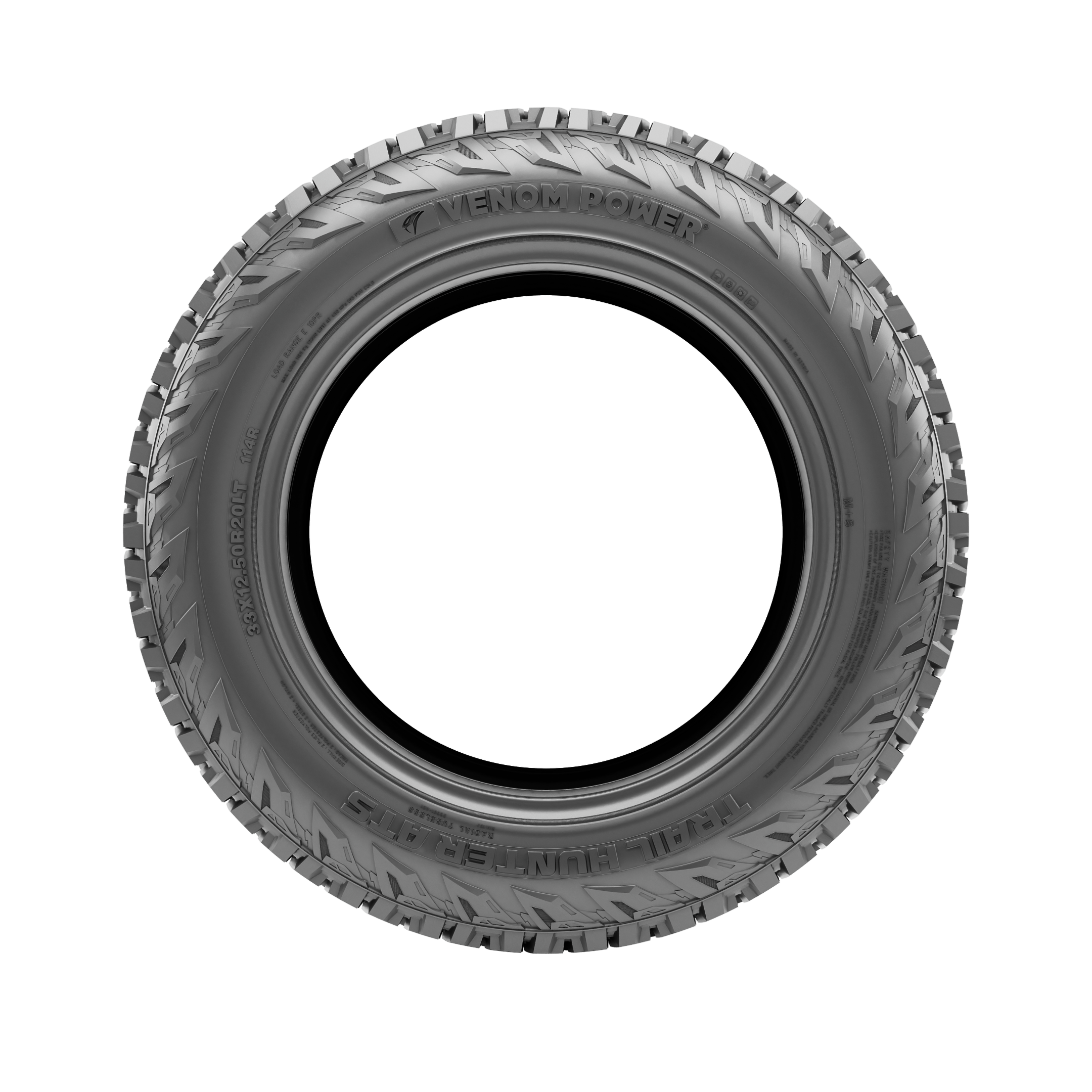 カメルーン産　アルバトス f.ストリアトス ゴライアス71mm Venom Power Trail Hunter Ats